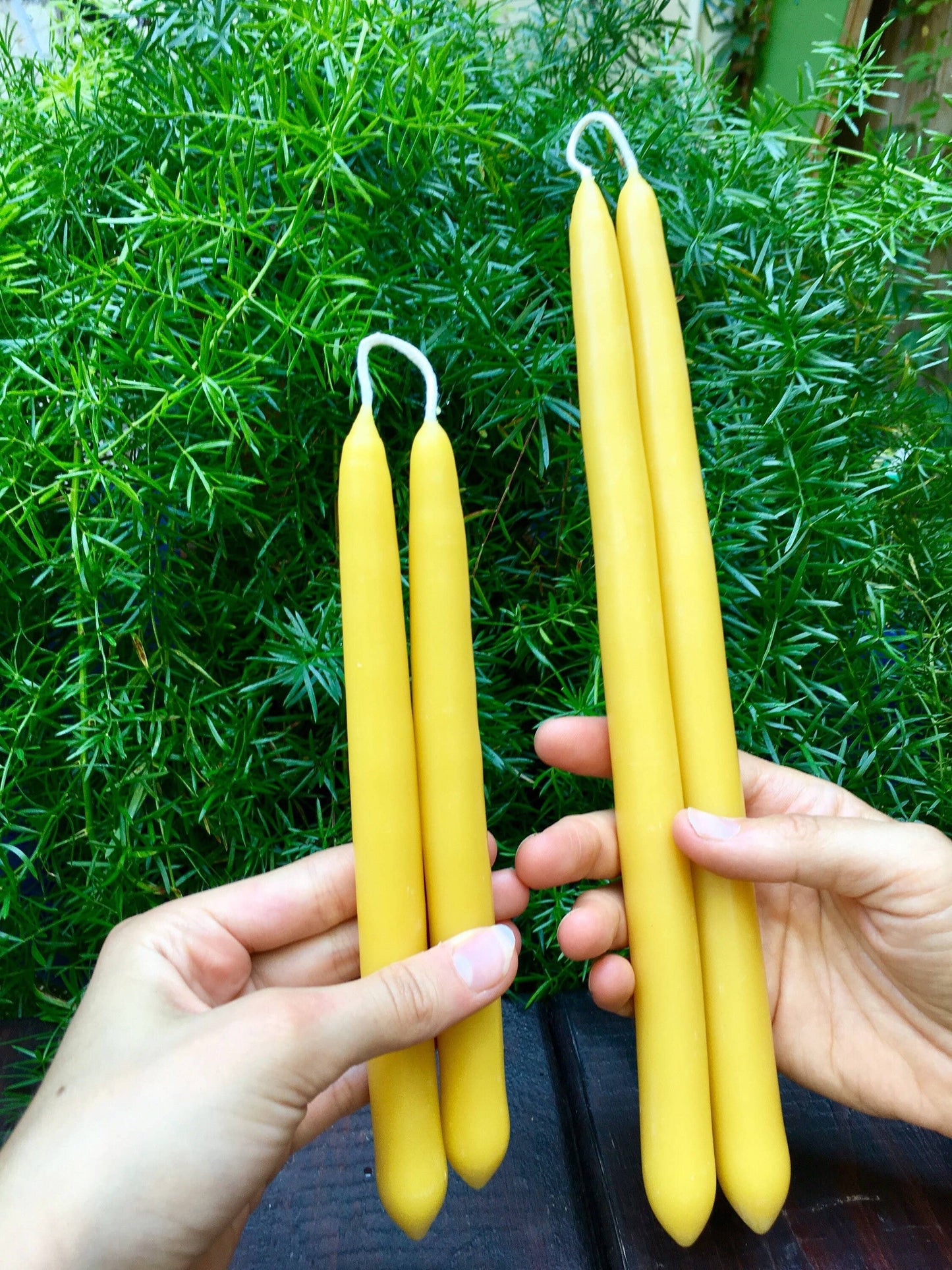 Pair of Beeswax Taper Candles
