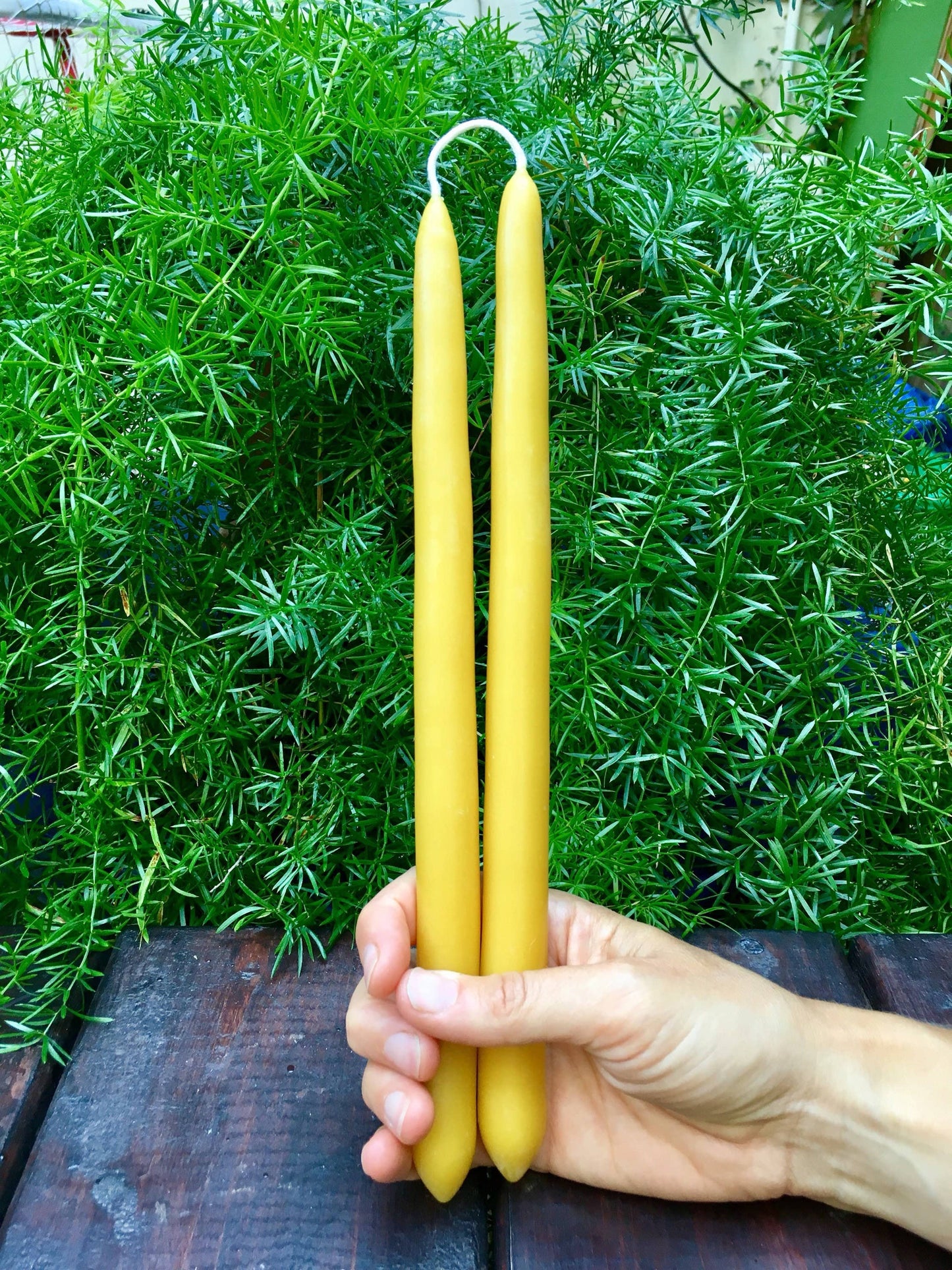 Pair of Beeswax Taper Candles