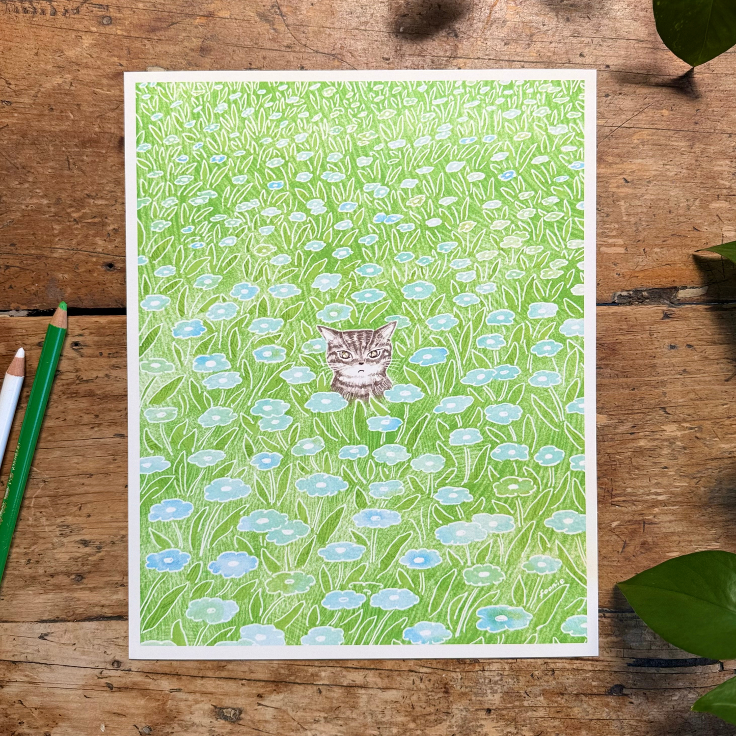 Tabby Cat, Cat in the Flower Field Print 8x10"