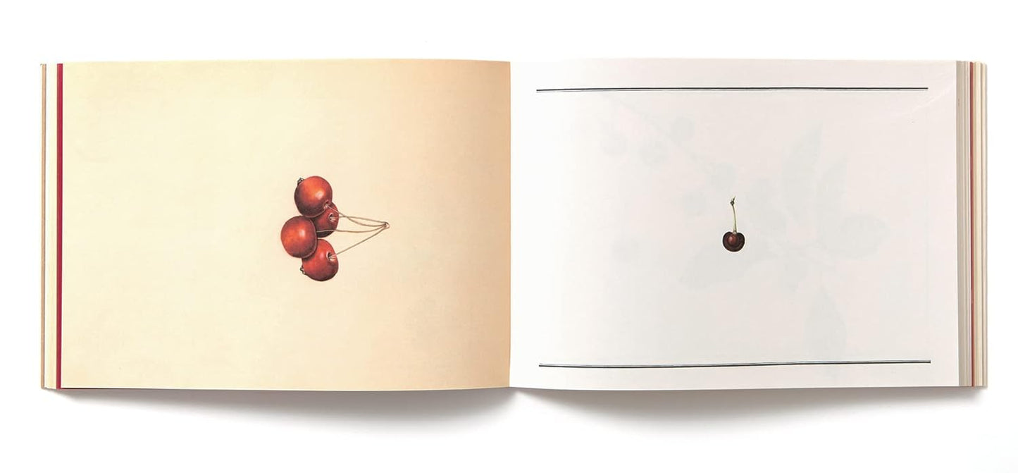100 Writing and Crafting Papers - Fruit