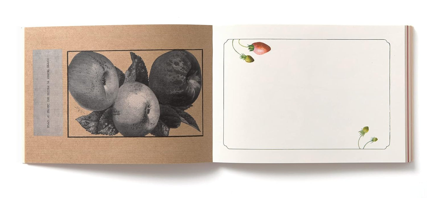 100 Writing and Crafting Papers - Fruit