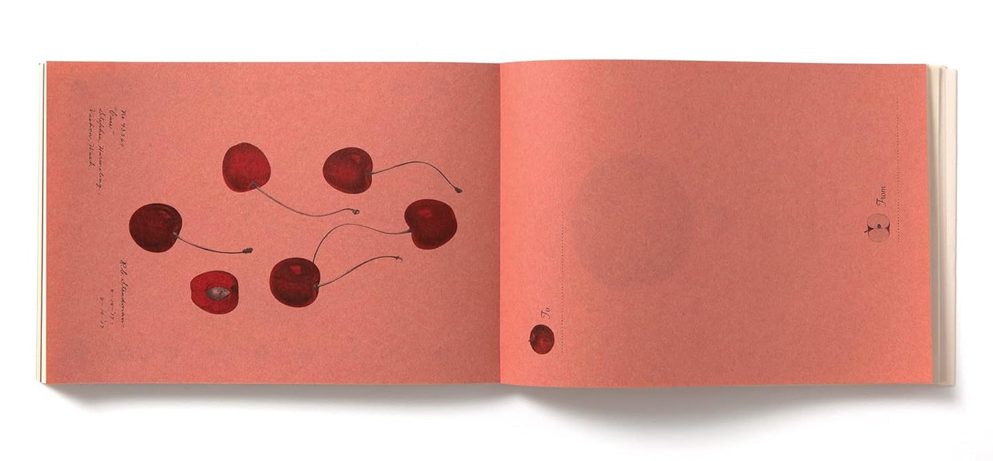 100 Writing and Crafting Papers - Fruit