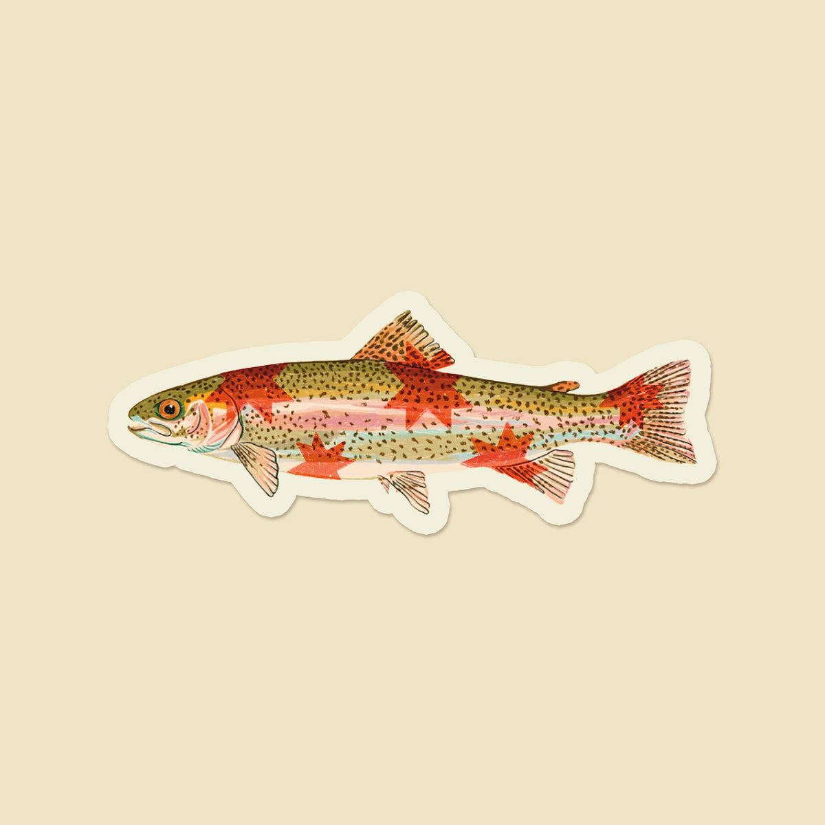 Rainbow Trout Starry Fish Sticker