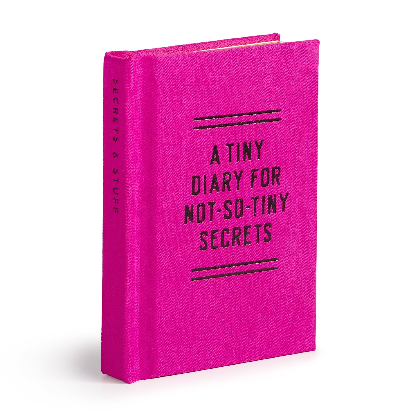Tiny Diary For Not-So-Tiny Secrets