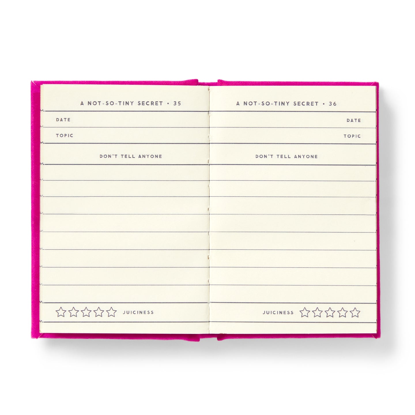 Tiny Diary For Not-So-Tiny Secrets