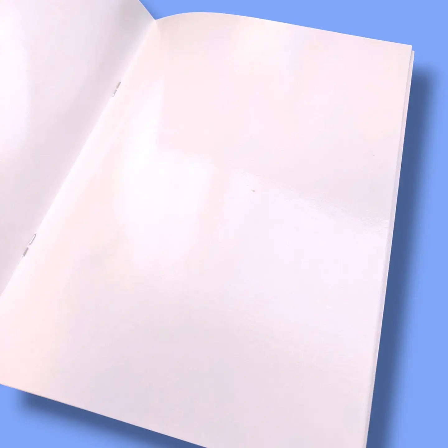 Teddy Blank Sticker Book - Easy Release Paper
