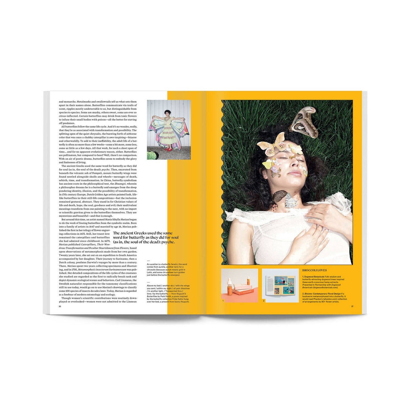 Broccoli Magazine - Issue 06