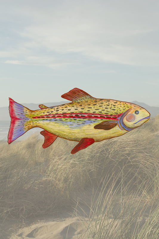 Illustrated Fish Sticker