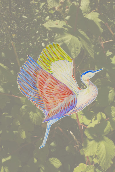 Illustrated Heron Sticker