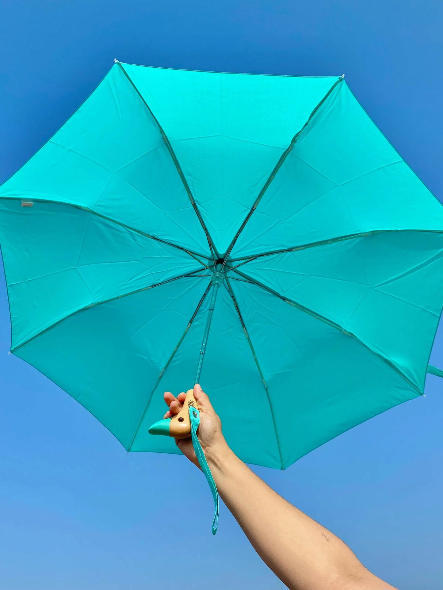 Duckhead Umbrella