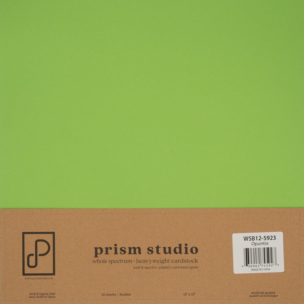 12X12 Whole Spectrum Smooth Cardstock, 92lb - Opuntia (25 Sheets)