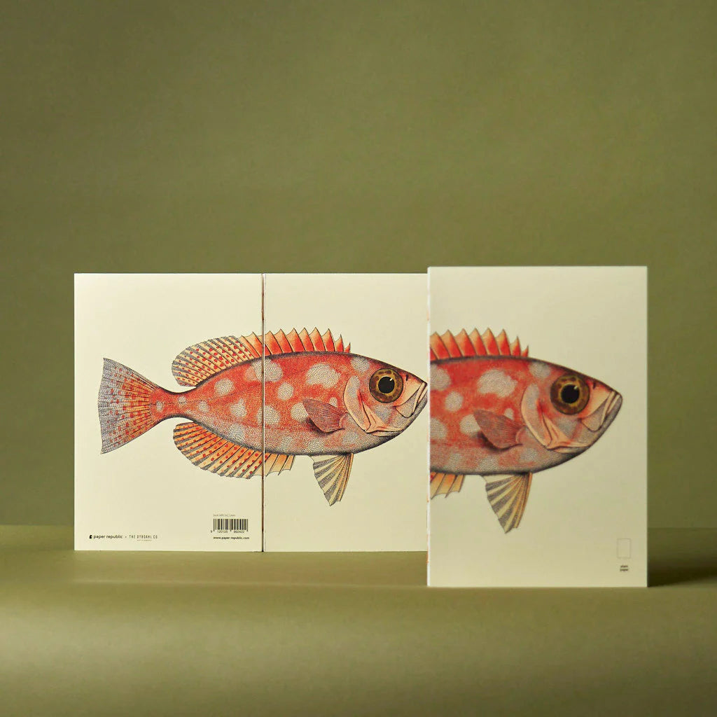 Fish Series - Paper Republic Illustrated Notebook Refill