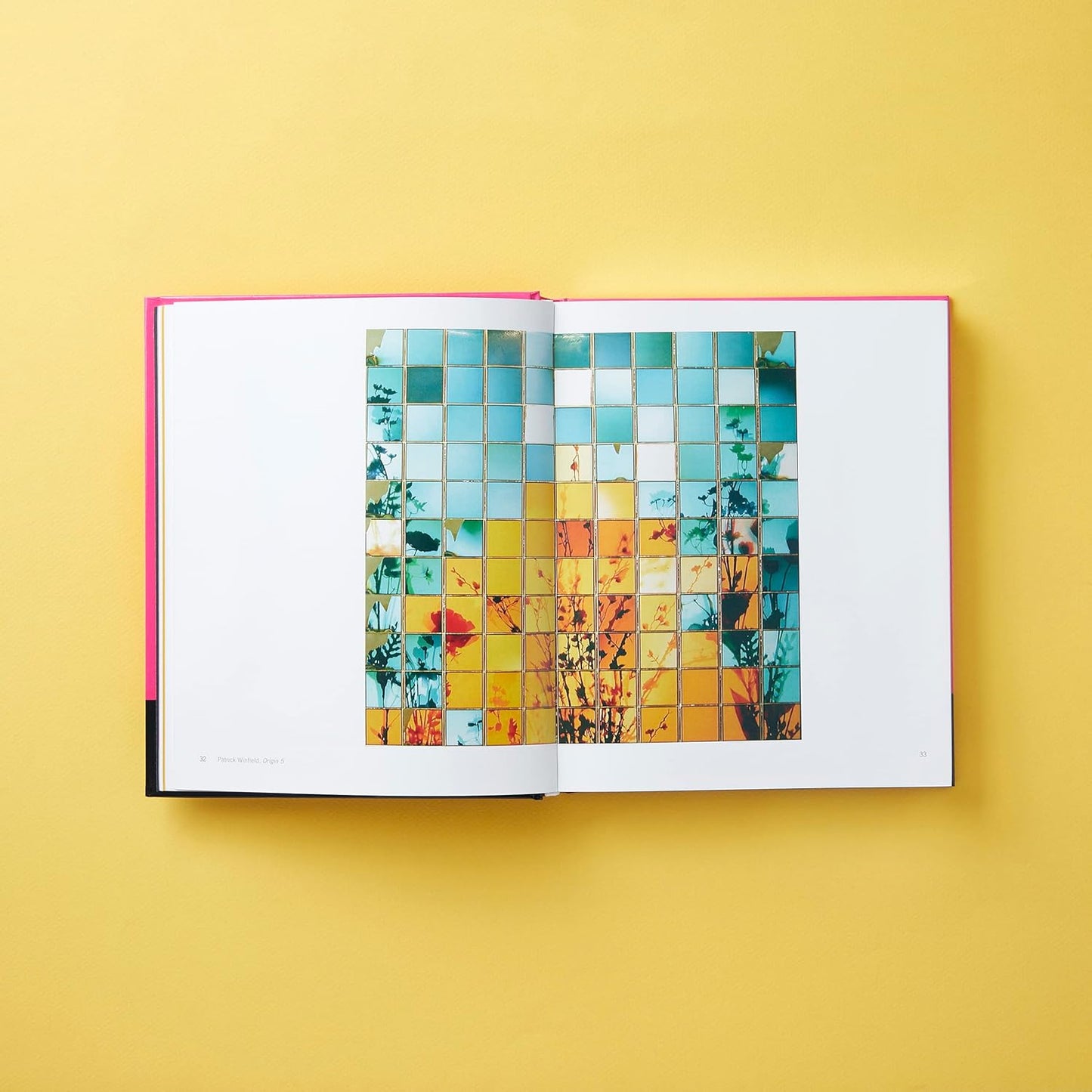 Polaroid Now - The History and Future of Polaroid Photography