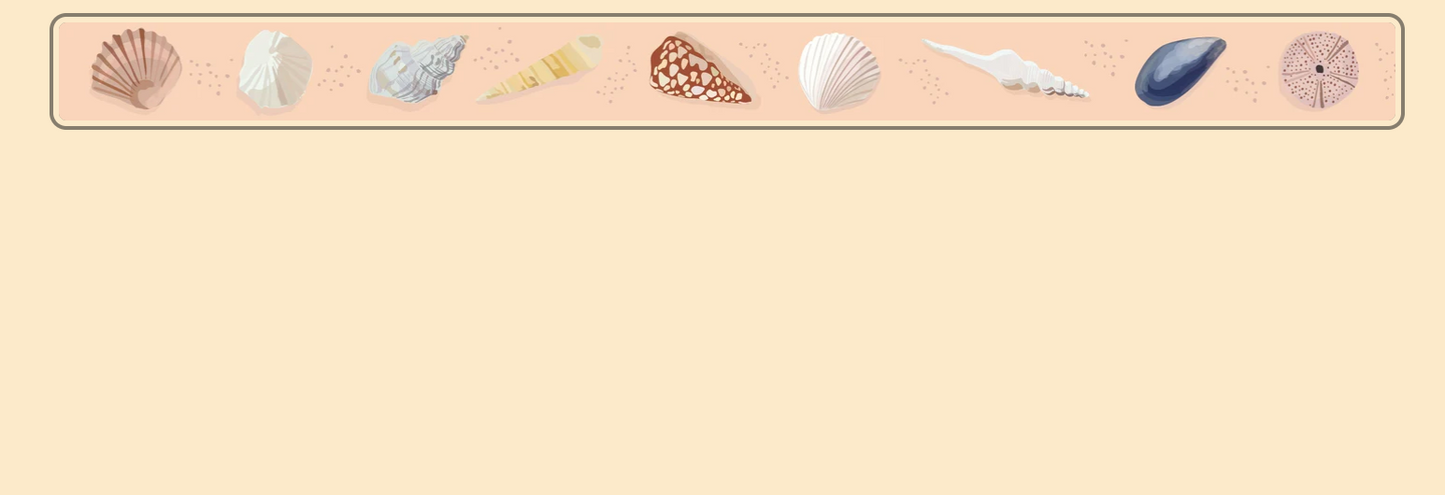 Washi Tape - Shells