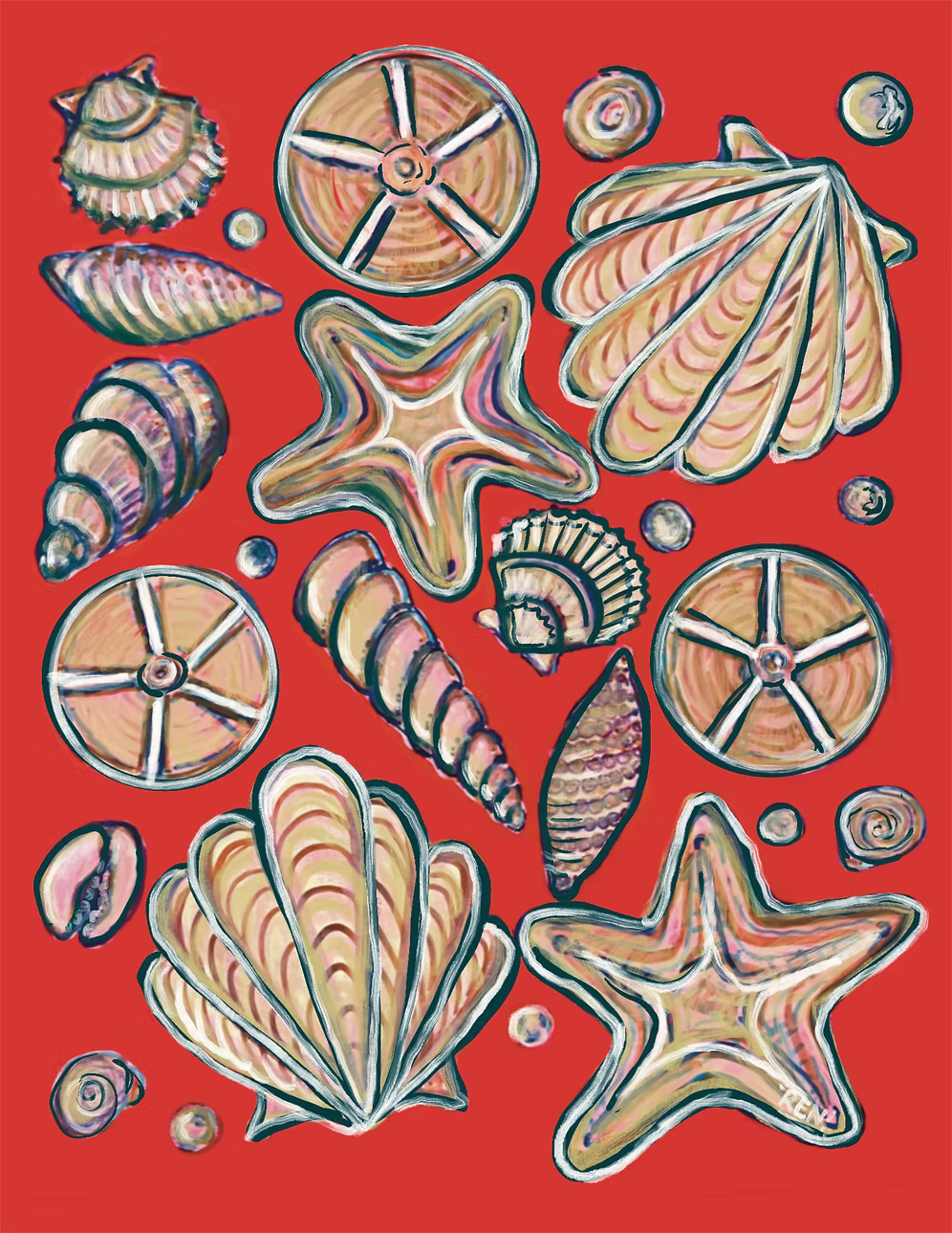 Sea Shells - Art Print