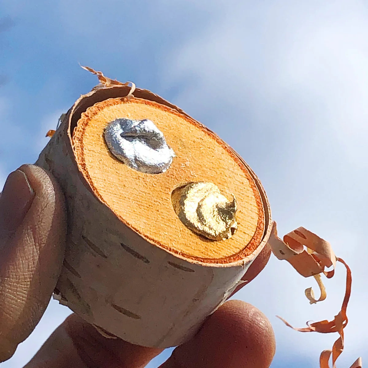 Beam Paints Metalic Birch Duo