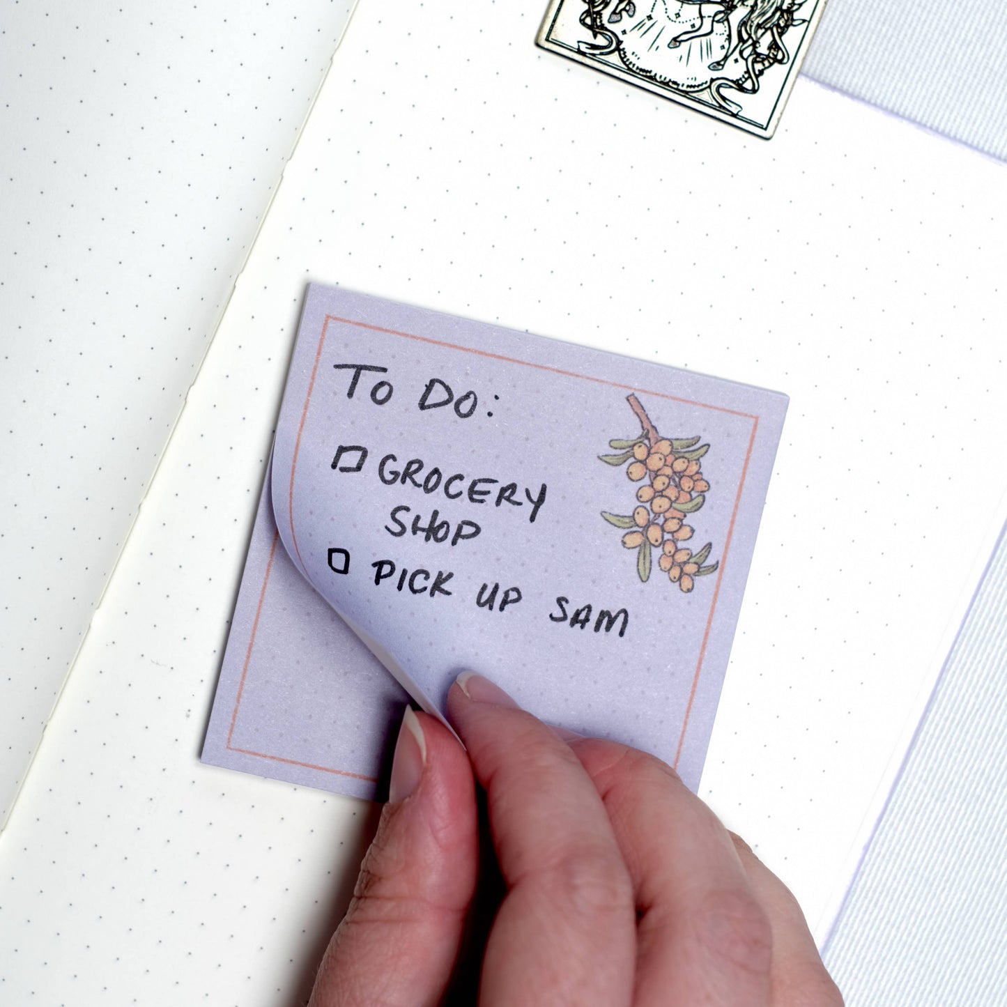 Sticky Notes - Sea Berry