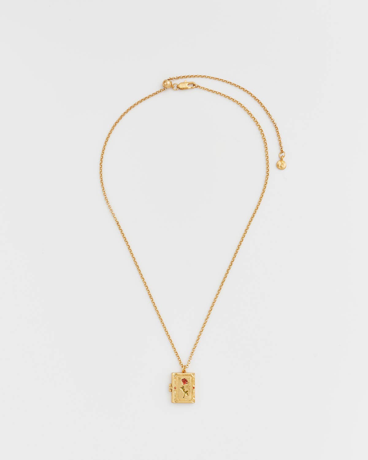 Diary Locket - Necklace