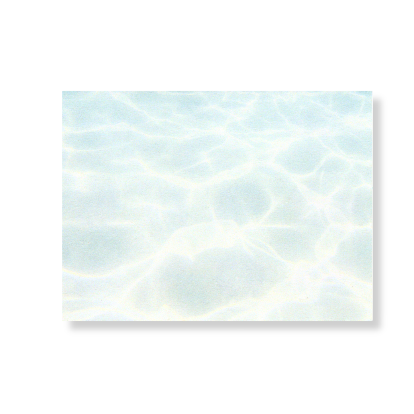 Tide Pool Sticker Sheet | 3"x4", 12 Glossy Stickers