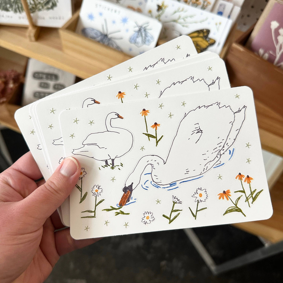 Sticker Sheet - Victoria Park Swan