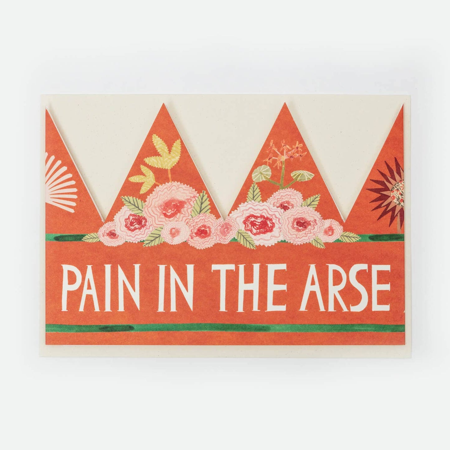 Pain In The Arse - Party Hat