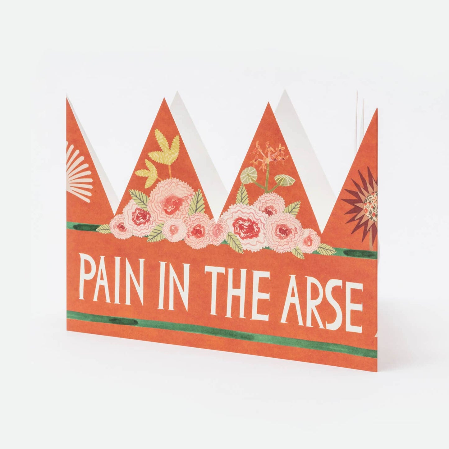 Pain In The Arse - Party Hat