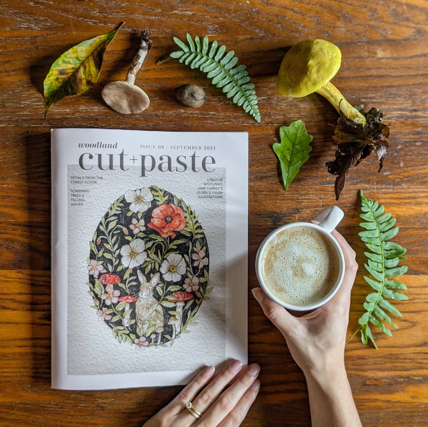 Cut + Paste Magazine, "Woodland"