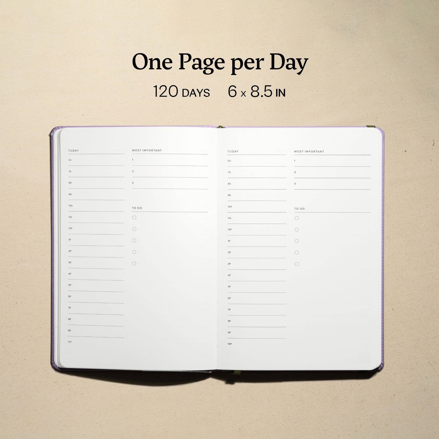Daily Planner, Lavender - Undated (120 Days)