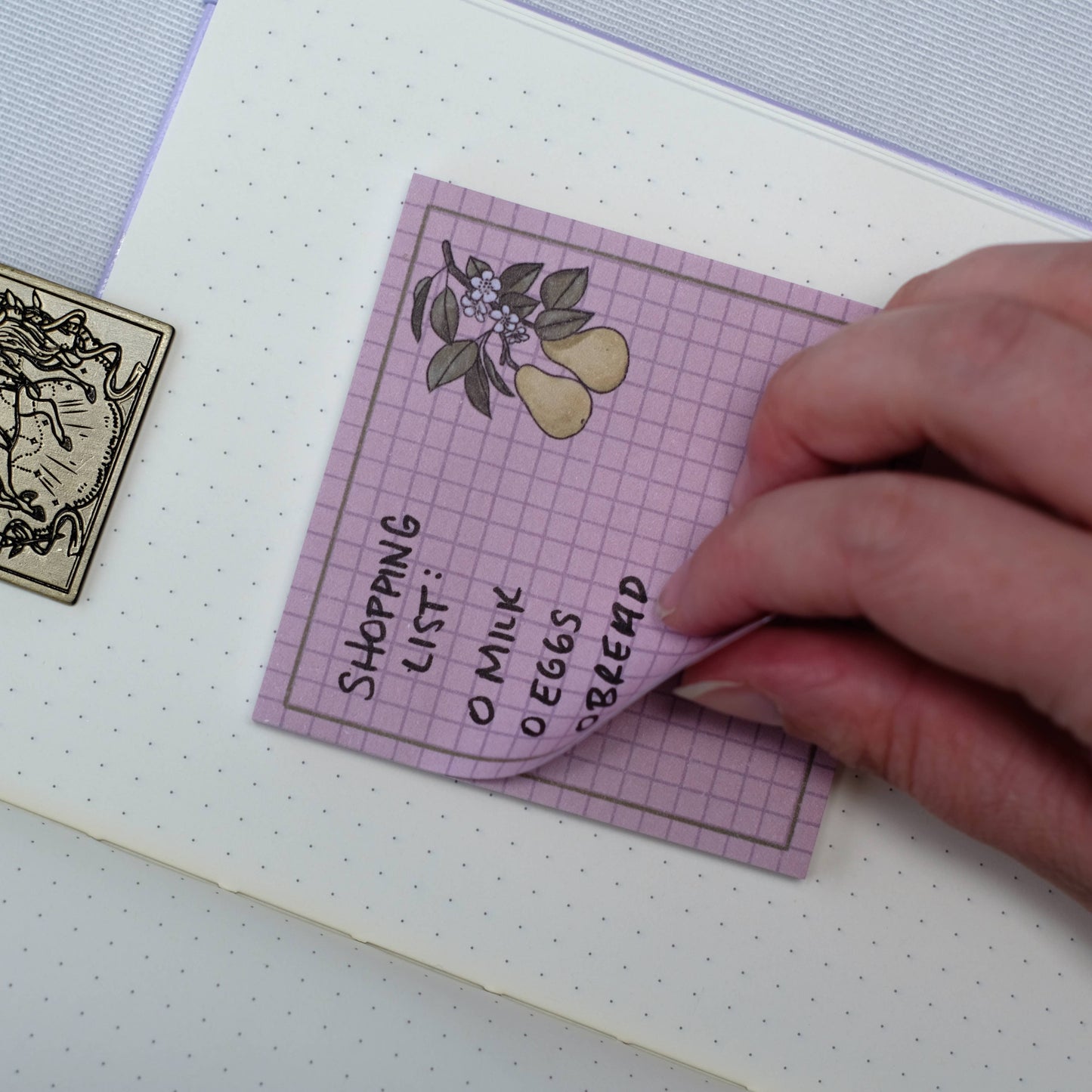 Sticky Notes - Checkered Pear