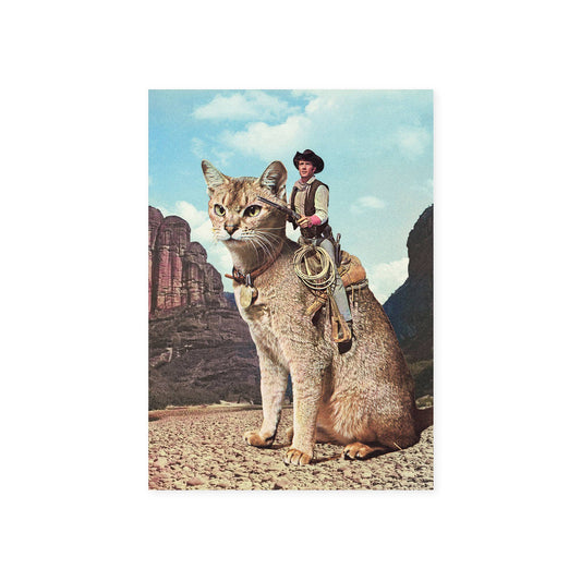 Cat Lone Ranger - Postcard