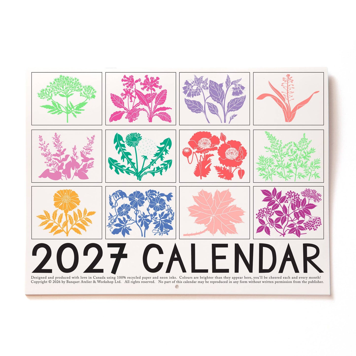 2027 Calendar - Medicinal Plants