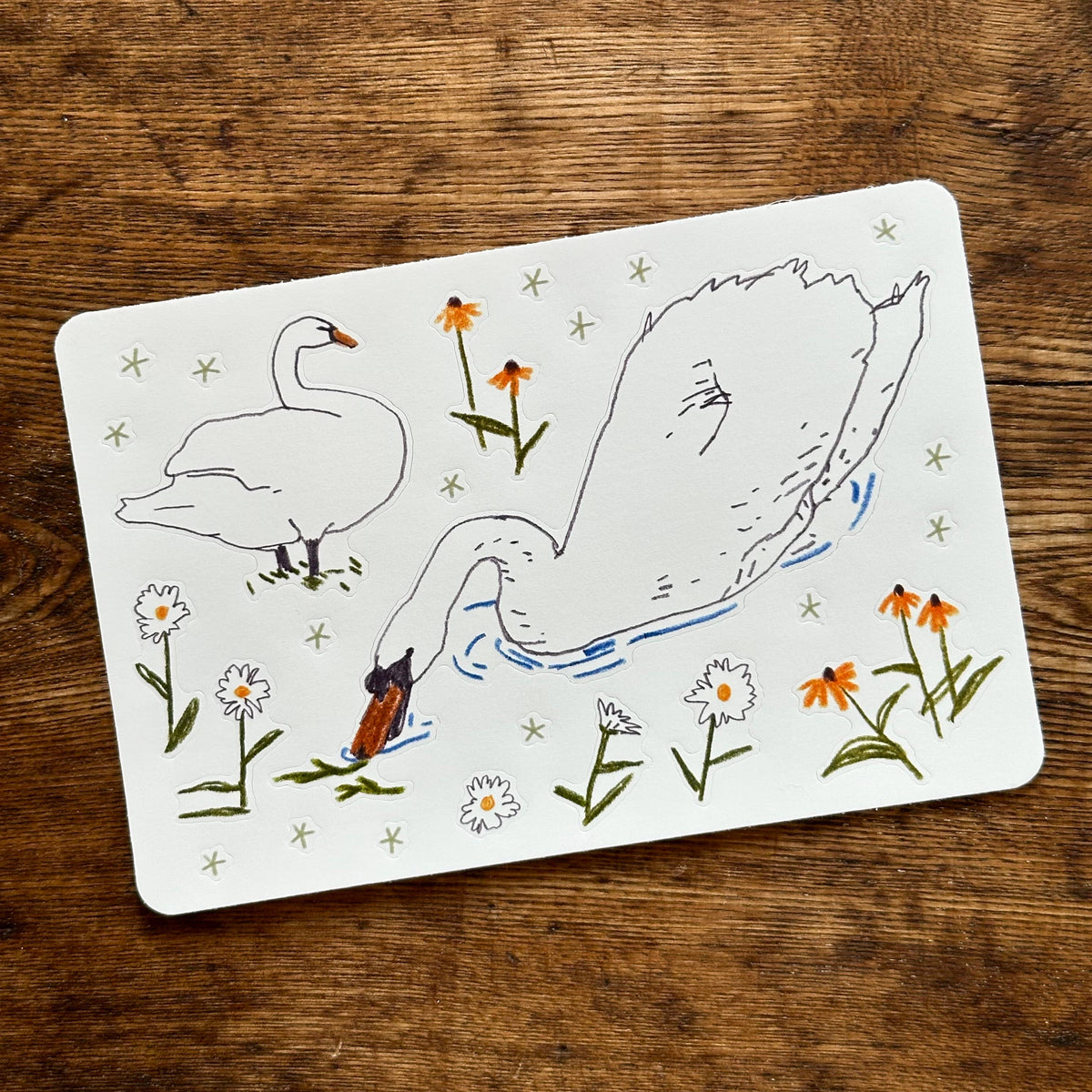 Sticker Sheet - Victoria Park Swan
