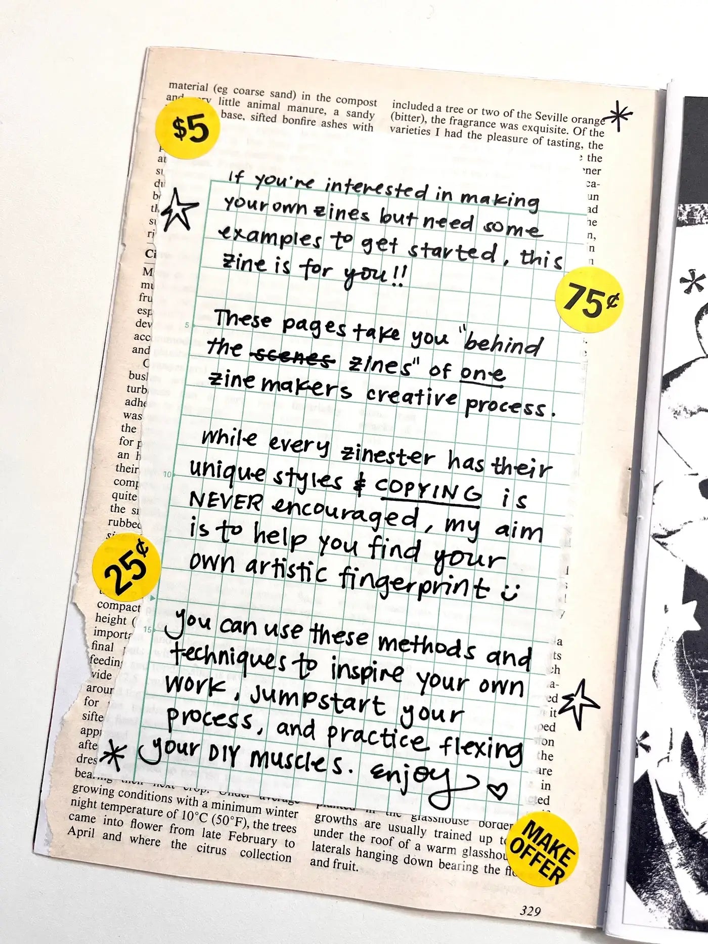 Make a Zine With Me - Instruction Booklet
