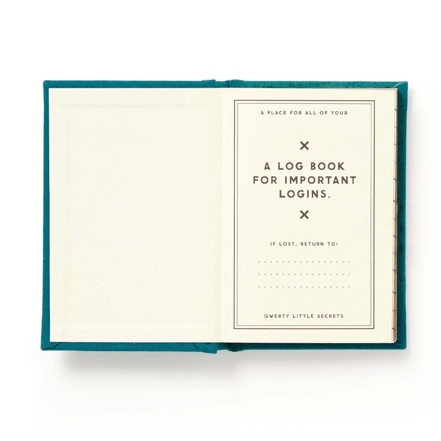 Definitely Not My Passwords - Mini Notebook