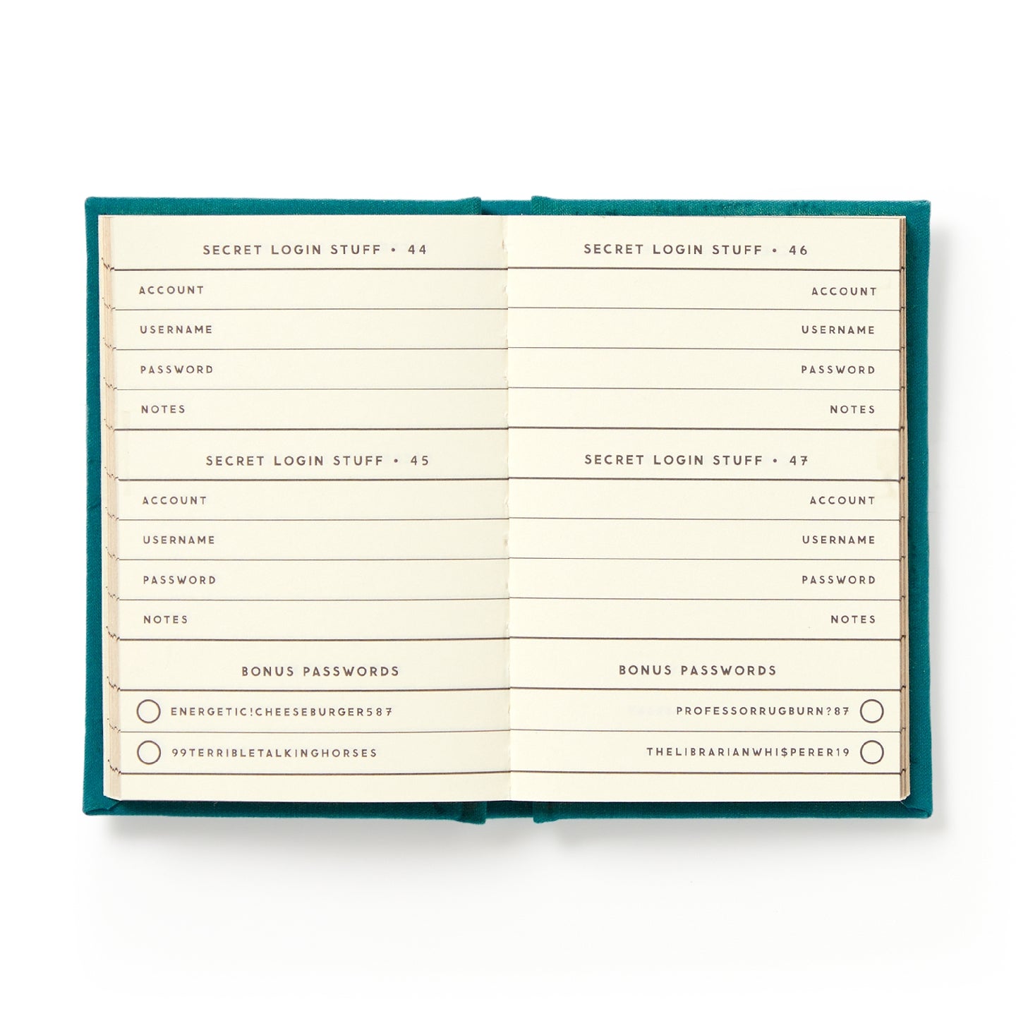 Definitely Not My Passwords - Mini Notebook