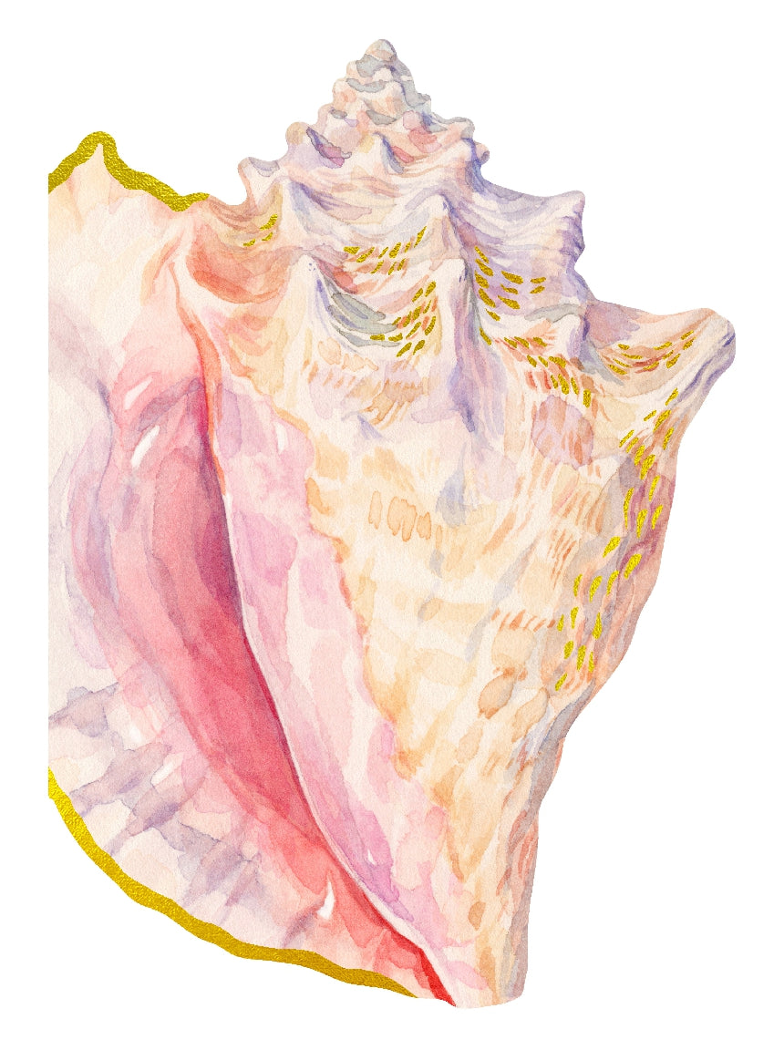 Shell Notecard Set