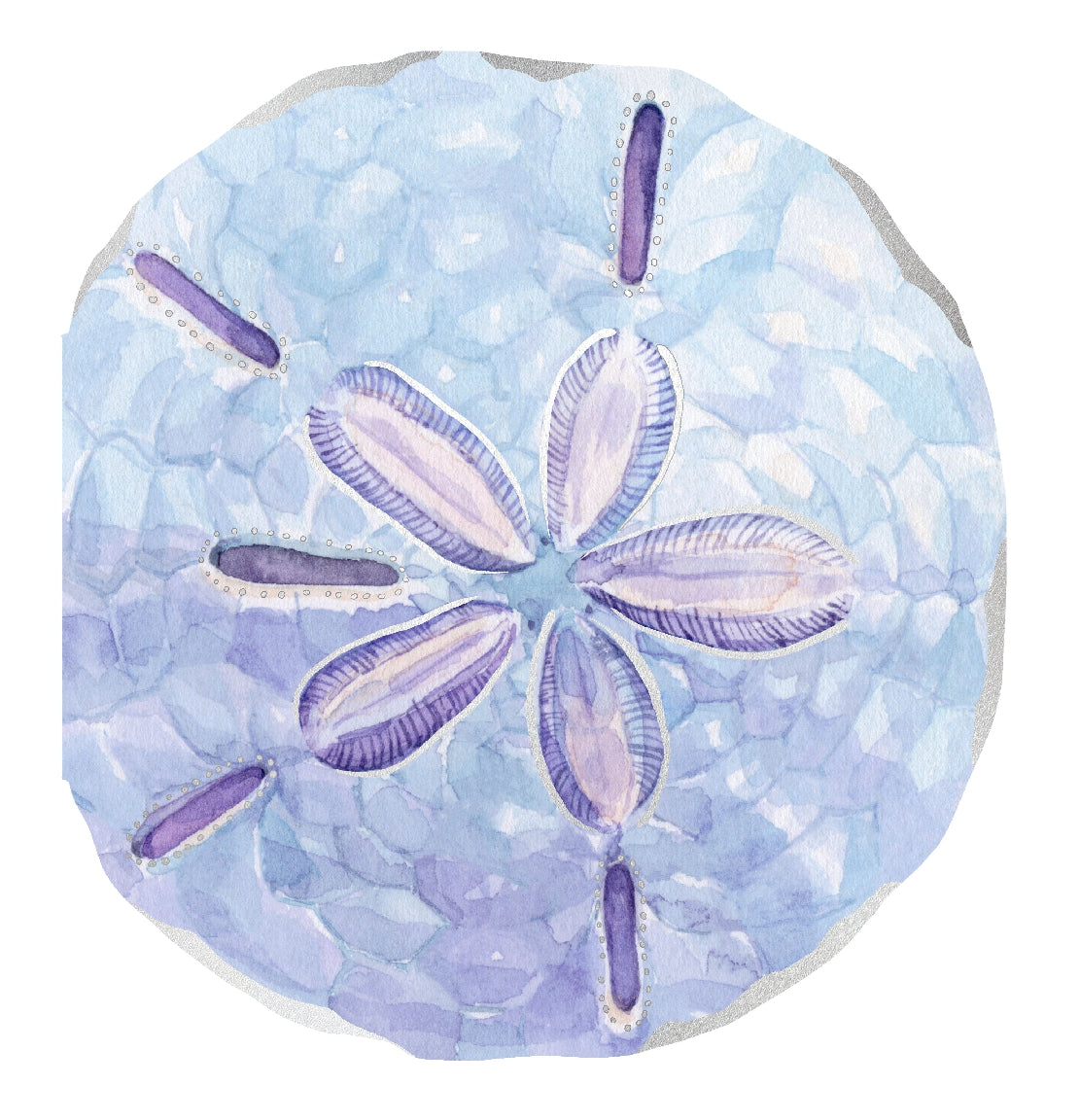 Shell Notecard Set