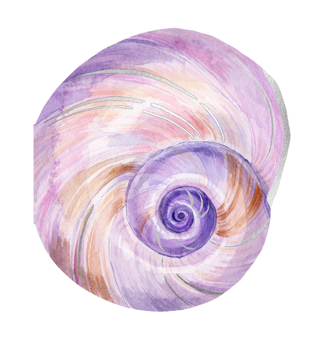 Shell Notecard Set