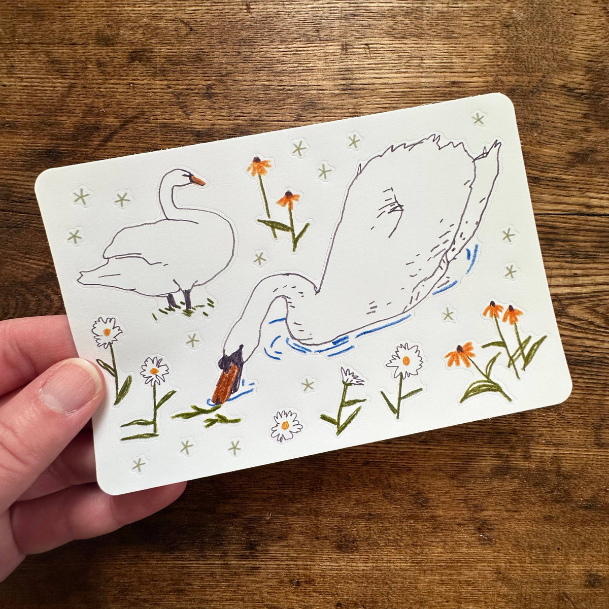 Sticker Sheet - Victoria Park Swan