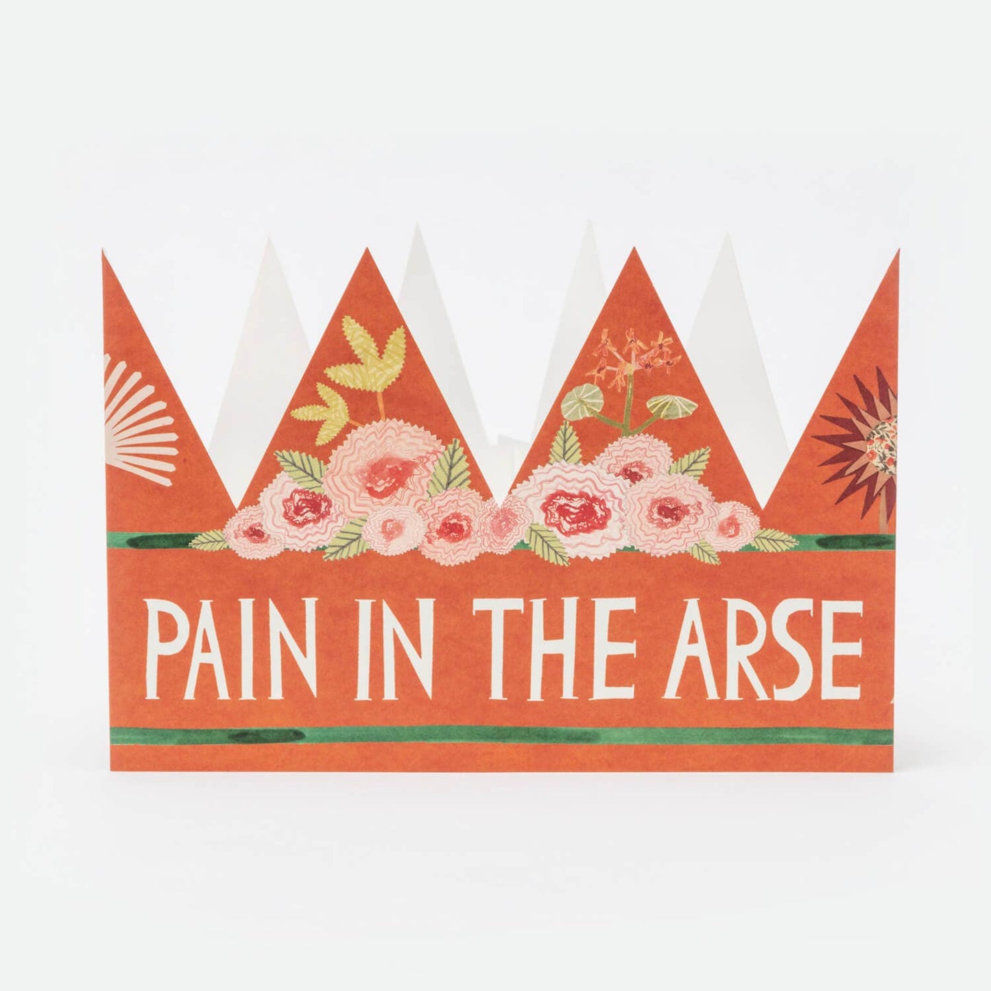 Pain In The Arse - Party Hat