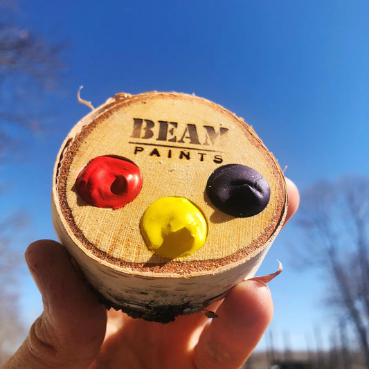 Beam Paints Primary Trio Palette