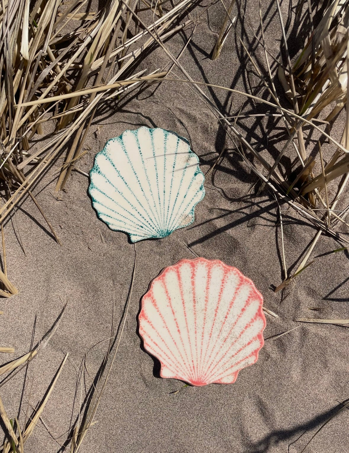 Ceramic Shell Coaster