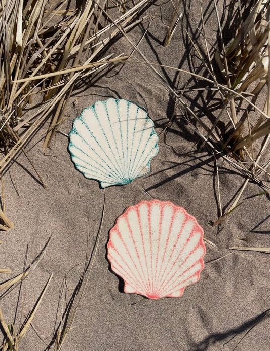 Ceramic Shell Coaster