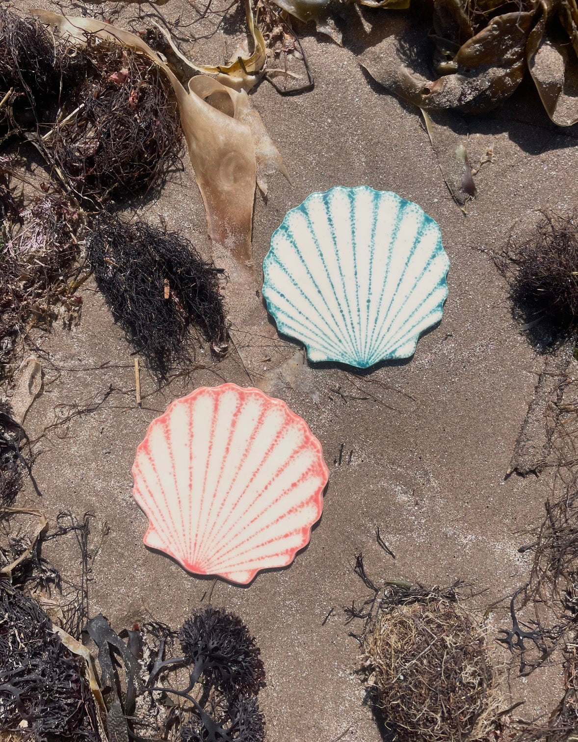 Ceramic Shell Coaster
