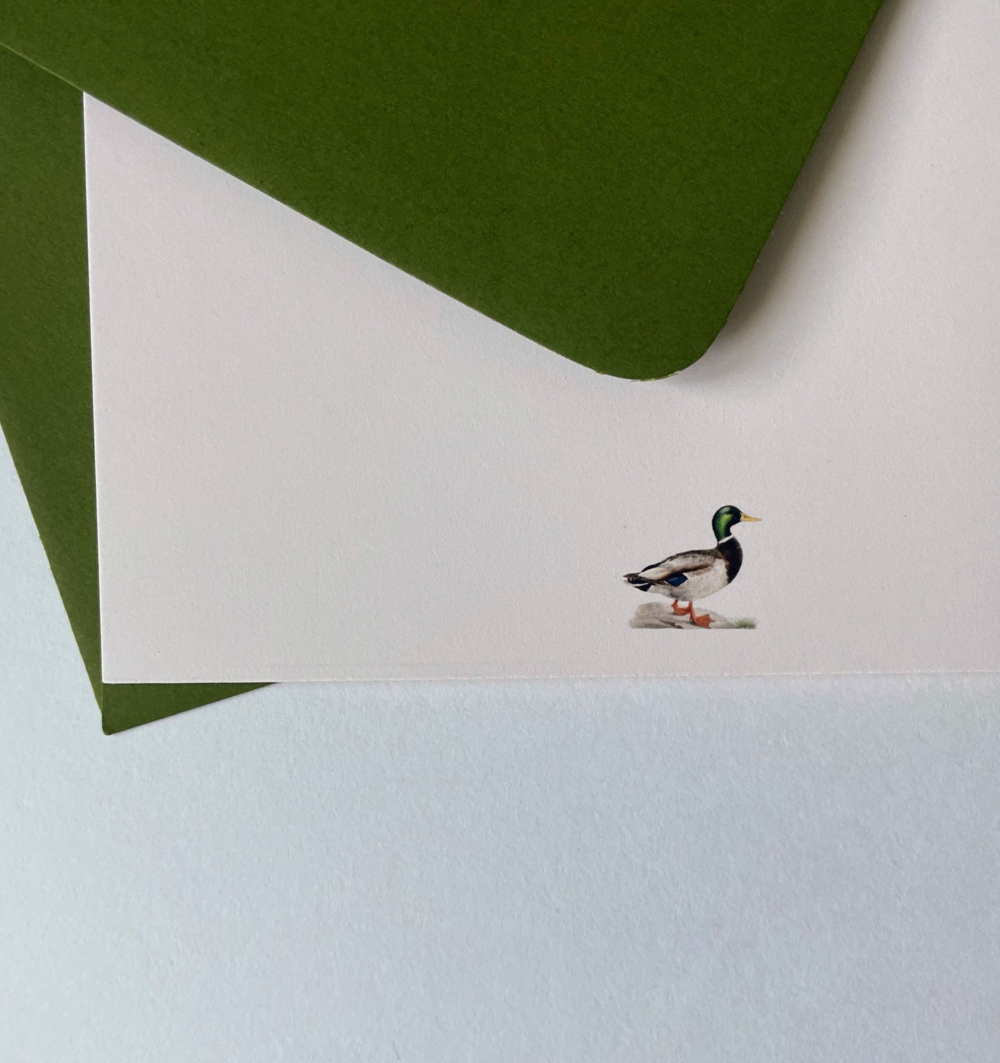 Mallard Notecard