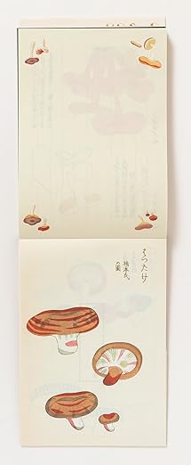100 Writing and Crafting Papers - Mushrooms
