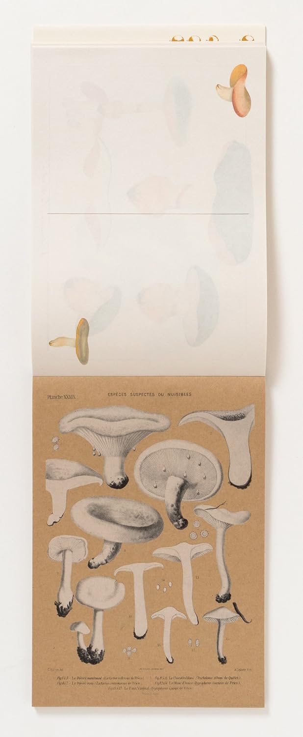 100 Writing and Crafting Papers - Mushrooms