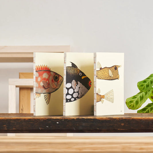 Fish Series - Paper Republic Illustrated Notebook Refill