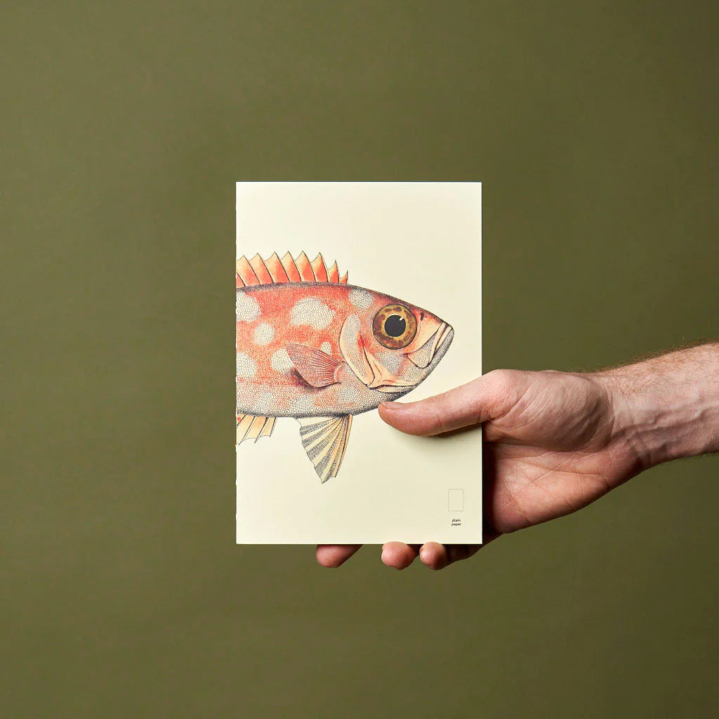 Fish Series - Paper Republic Illustrated Notebook Refill