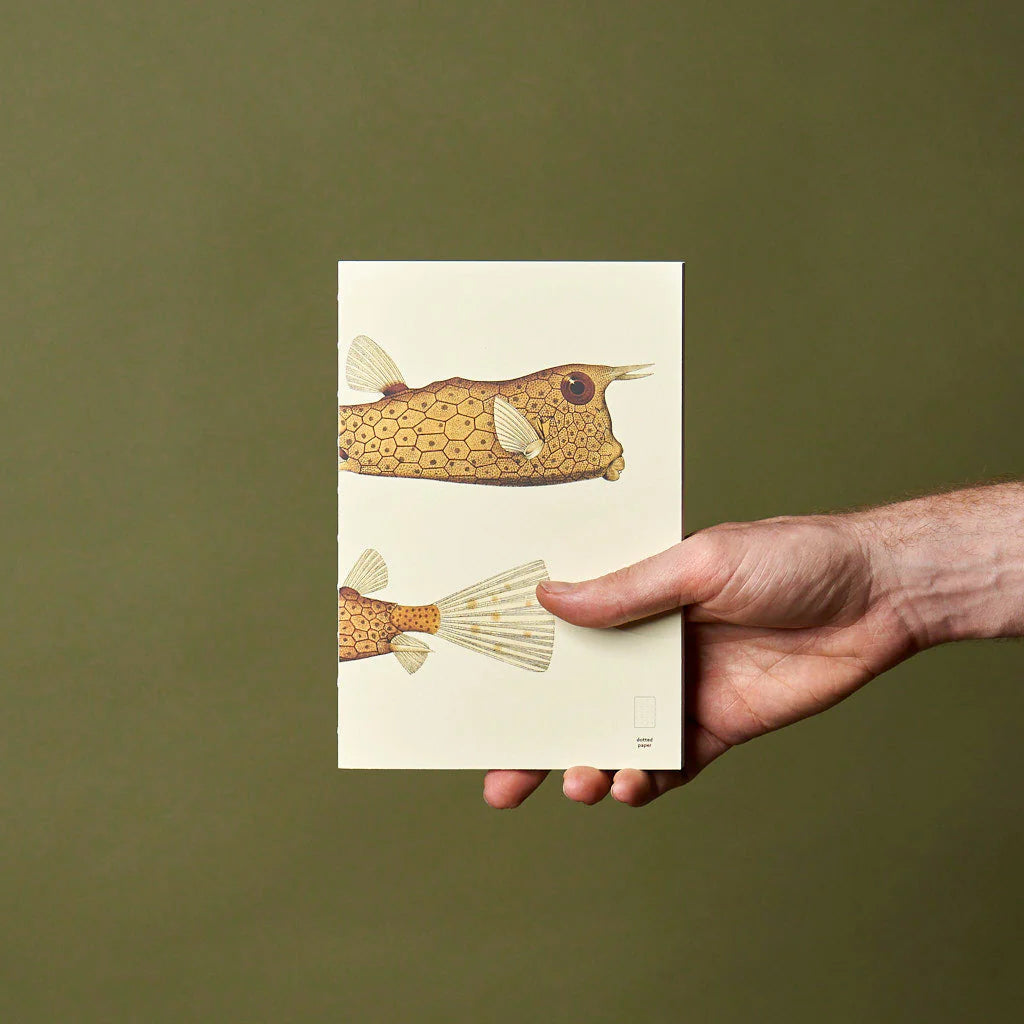 Fish Series - Paper Republic Illustrated Notebook Refill